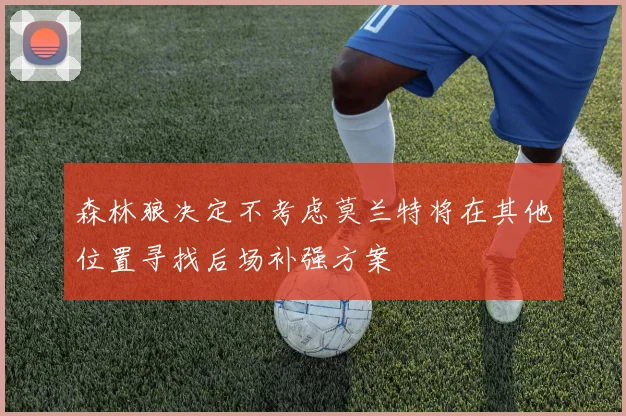 森林狼决定不考虑莫兰特将在其他位置寻找后场补强方案